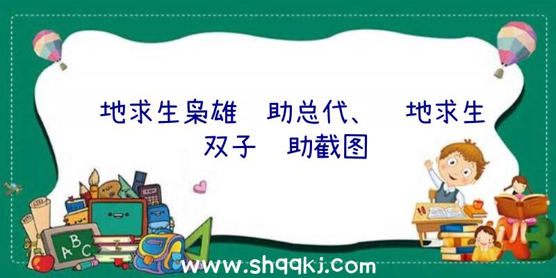 绝地求生枭雄辅助总代、绝地求生